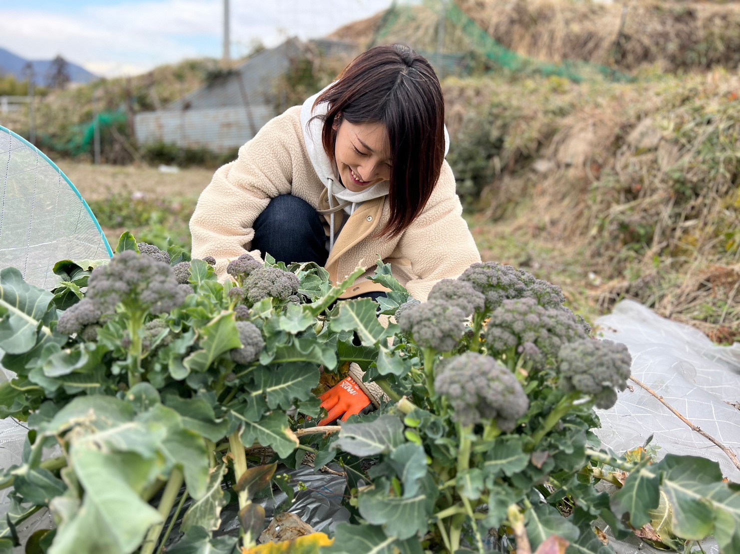 素材の味を生かした優しい味のお惣菜。